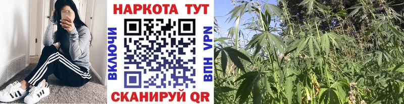 А ПВП Карталы